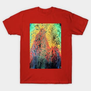 Seasons Fluid Art T-Shirt